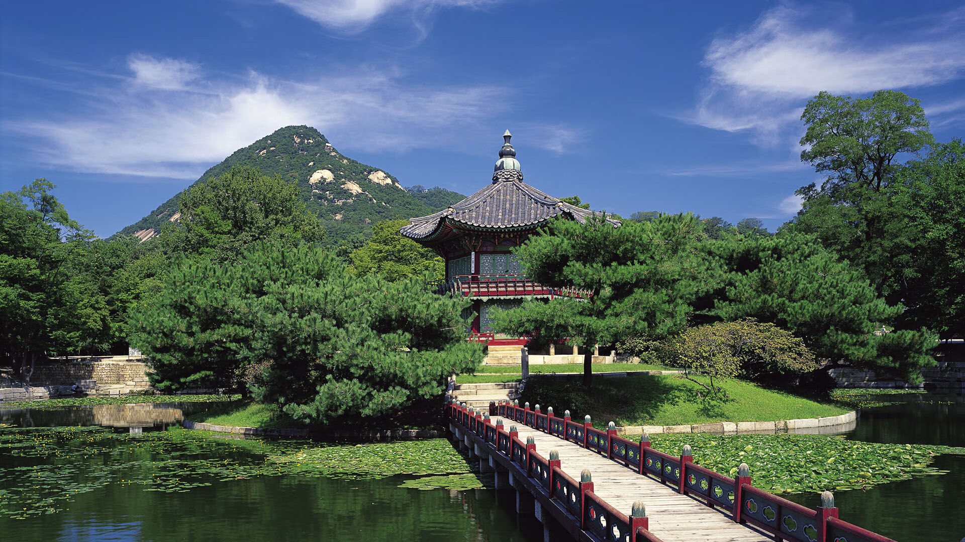 开云APP-全国青少年武术趣味挑战赛引领传统文化新风尚，青少年武术套路比赛